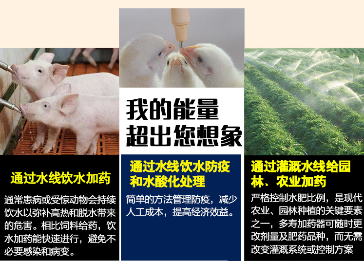 加藥器在養(yǎng)殖行業(yè)的應(yīng)用