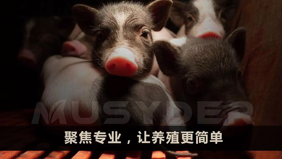 牧斯德聚焦專業(yè)，讓養(yǎng)殖更簡單