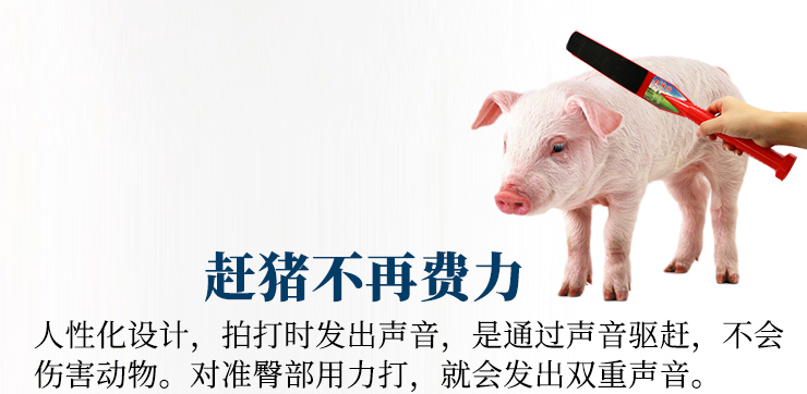 趕豬拍