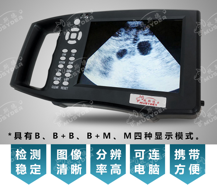 獸用B超